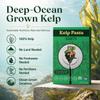2 Pack Seaghetti Organic Kelp Pasta 100% Seaweed Noodles Keto, Vegan & Gluten-Free Low Calorie, High Fiber Spaghetti Alternative 4.2 oz view 3