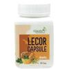 Lecor Capsule, Livcon Capsule and Lecor Oil Combi Kit for Leucoderma, Vitiligo and White Patches(3 Items in The Set) - by Cordial view 2