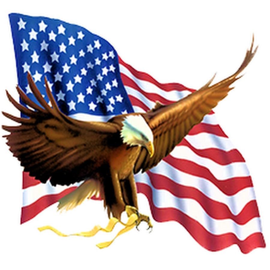 Bald Eagle Flying Over US Flag Edible Icing Sheets- Assorted Image Cake Toppers-Frosting Sheets- Cookies- Cupcake Toppers (8 Inch Round)