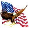 Bald Eagle Flying Over US Flag Edible Icing Sheets- Assorted Image Cake Toppers-Frosting Sheets- Cookies- Cupcake Toppers (8 Inch Round) view 1