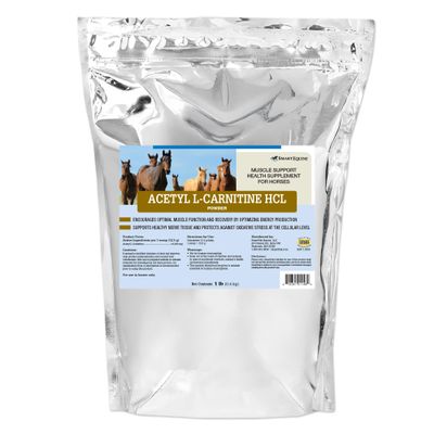 SmartEquine Acetyl L-Carnitine HCL Powder | Horse Energy Supplement & Muscle Supplement for Horses Supporting Muscle Function & More | Antioxidant-Rich Pure Formula | 1 lb Bag