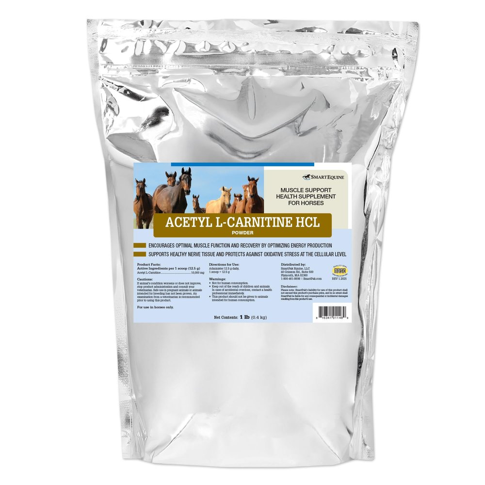 SmartEquine Acetyl L-Carnitine HCL Powder | Horse Energy Supplement & Muscle Supplement for Horses Supporting Muscle Function & More | Antioxidant-Rich Pure Formula | 1 lb Bag