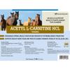 SmartEquine Acetyl L-Carnitine HCL Powder | Horse Energy Supplement & Muscle Supplement for Horses Supporting Muscle Function & More | Antioxidant-Rich Pure Formula | 1 lb Bag view 2
