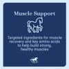 SmartEquine Acetyl L-Carnitine HCL Powder | Horse Energy Supplement & Muscle Supplement for Horses Supporting Muscle Function & More | Antioxidant-Rich Pure Formula | 1 lb Bag view 4