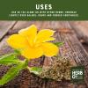 Damiana Leaf Cut & Sifted, by Herb Co, Turnera diffusa, Old Woman's Broom, from Mexico, Kosher, for Herbal Tea Blends, Salads, Soups & Cooked Vegetables, 1 lb view 4