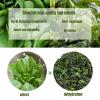 Healthy vegetable pack, dehydrated vegetable pack, skirt cabbage, vegetable soup pack 4.76oz, freeze-dried vegetables, fresh dried vegetable, instant salad, healthy vegetarian, fast food (1 pack) view 3