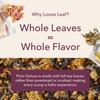 Citrus Mint Green Tea  Refreshing Loose Leaf Blend with Green Tea, Orange, Lemon, Lemongrass and Spearmint  Low Caffeine  Hot or Iced  60 to 80 Cups  No Added Sugar  Hand Crafted in USA - Plum Deluxe view 4
