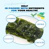 NICE WITCH'S Korean wild Kombu 100% Pure Dried Seaweed Traditional Hand Harvested Dried Kelp 4oz - Seaweed Kelp, DASHI, 1 Pack, / Product of Korea view 4