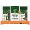 Bibigo Sesame Flavored Seaweed Snacks, 6 Individual Packets, 0.16 Ounce (Pack of 6) view 1