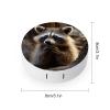 QWHJK Contact Lens Case,Cute Raccoon Print Plastic Contact Lens Case,contact Lens Care Box,ontact Lens Travel Box view 2