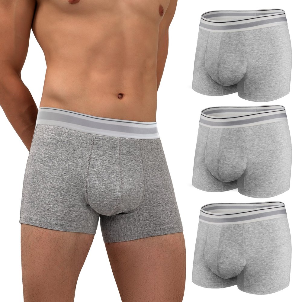 REELINDRY Mens Incontinence Underwear 2.3 oz Absorbency Protection Adult Leak Proof Boxer Briefs Washable Bladder Leakage Cotton 3 Pack (3 Light Gray, XL)