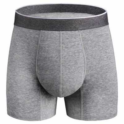 REELINDRY Mens Washable Incontinence Underwear, 2.3 oz Absorbency Reusable Leak Proof Odor Control Trunks 1 Pack(Gray, 2XL)