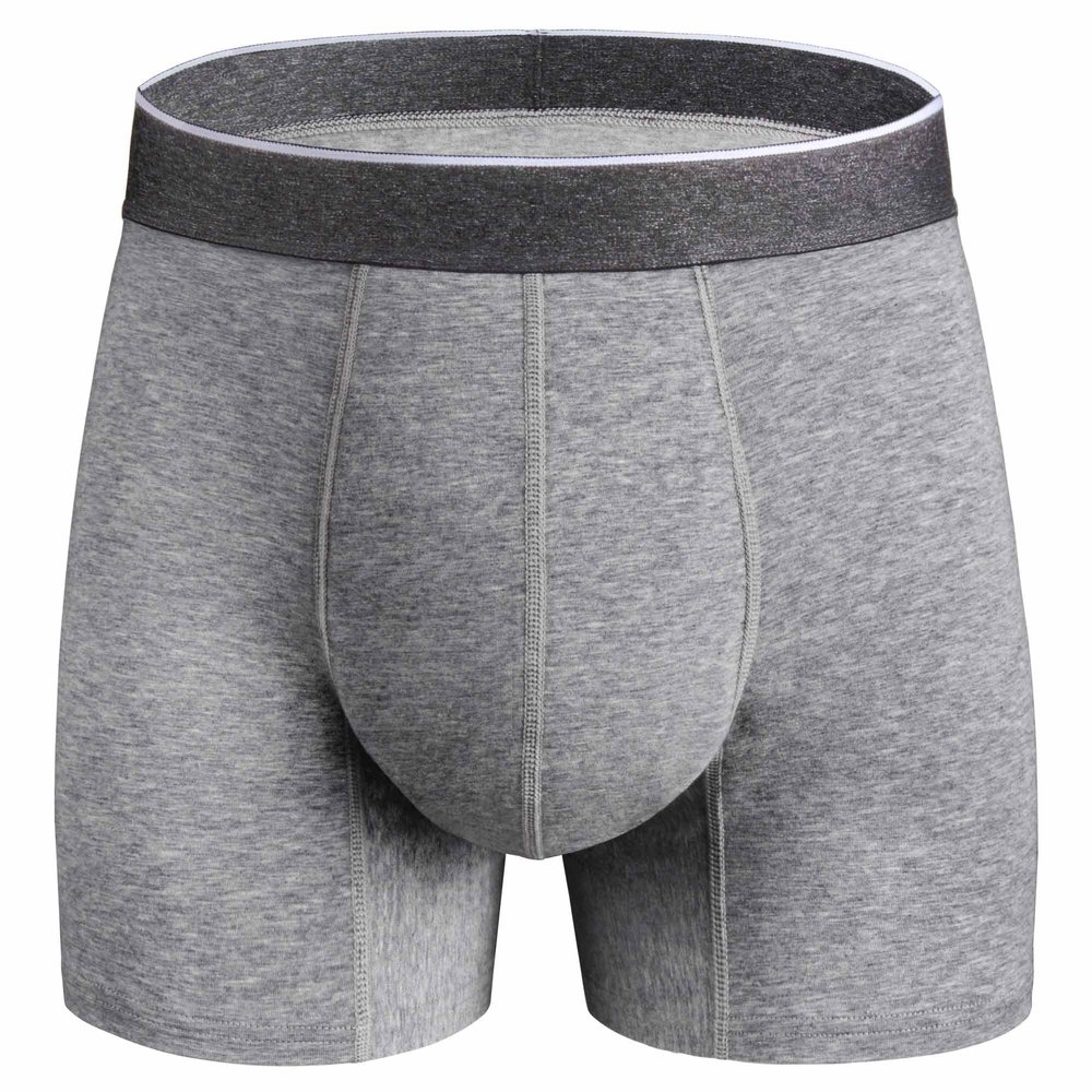REELINDRY Mens Washable Incontinence Underwear, 2.3 oz Absorbency Reusable Leak Proof Odor Control Trunks 1 Pack(Gray, 2XL)