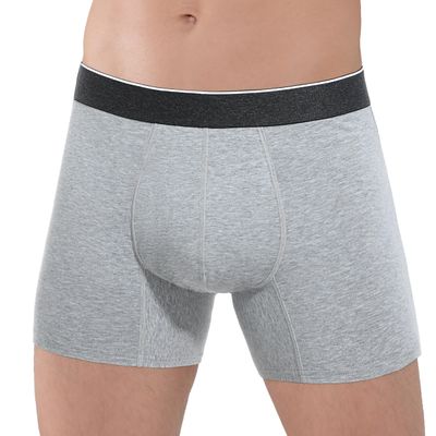 REELINDRY Incontinence Underwear for Men Washable Absorbent 2.3 oz Leak Proof Prostate Bladder Control Boxer Briefs 1 Pack (Light Gray, 2XL)