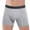 REELINDRY Incontinence Underwear for Men Washable Absorbent 2.3 oz Leak Proof Prostate Bladder Control Boxer Briefs 1 Pack (Light Gray, 2XL) view 1