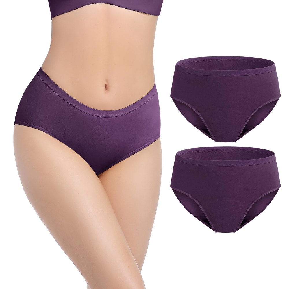 REELINDRY Incontinence Underwear for Women Washable, 2 oz Maximum Abosrbency Panties for Bladder Leak Proof Protection 2 Pack (Berry, M)