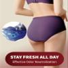 REELINDRY Incontinence Underwear for Women Washable, 2 oz Maximum Abosrbency Panties for Bladder Leak Proof Protection 2 Pack (Black-Berry, 2XL) view 4