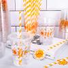 Whaline 50Pcs One Sun Disposable Plastic Cups with Lids and Straws 12 oz Boho Sunshine Party Cups Cold Beverage Drinking Cups for First Birthday Baby Shower Party Supplies view 4