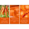 Carrot slices 7.05oz, vegetable dried instant carrot slices dried vegetables200g view 3
