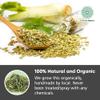 100 Fennel Tea Bags Healthy Well Cleaned Fennel Blend Tea Bags Herbal Tea Well Aroma view 4
