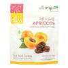 F.ruit Bliss Organic Turkish Apricots 5OZ Pack of 6 view 1
