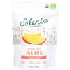 S.alento Provisions Sweet Organic Dried Mango 3.5OZ Pack of 6 view 1