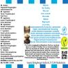 Rice Pudding Flavor Concentrate - Vegan - Sasami - 10ml view 4