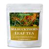 100% Natural Sea Buckthorn Leaf Tea, 40 Count, Premium Sea Buckthorn Tea, Sun Dried, No Additives view 1