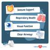 Lysine + Probiotics & Prebiotics for Cats - Immune Support, Eye Function, Bowel Function & Gut Health. view 2