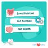 Lysine + Probiotics & Prebiotics for Cats - Immune Support, Eye Function, Bowel Function & Gut Health. view 3