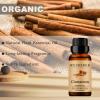 100% Pure and Natural Cinnamon Essential Oil - 10ML Aromatherapy Diffuser - 0.33 Fl Oz view 4