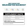 Earthbal Wildcrafted Raw Golden Sea Moss from St Lucia l Makes 80oz+ Sea Moss Gel l Vegan l Irish Moss - Mineral and Vitamin Dense view 3