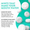 Flintts Mints Strawberry Stash  Sugar Free Mouthwatering Mints for Dry Mouth Relief & Freshness  Vegan Oral Health Support with Sparkle Effect  Pocket Travel Saliva Substitute, Lozenges Alternative, 2 Refill Packs view 3