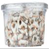 Zachary Halloween Pretzel Yogurt 14oz Tub view 3