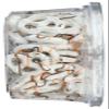 Zachary Halloween Pretzel Yogurt 14oz Tub view 4