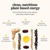 Patterbar Energy Bars - 100% Whole Foods Bar, Gluten Free, Dairy Free, No Added Sugar, Vegan, Whole30 | Plant Based Paleo Snacks, Vegan Protein Bar, Breakfast Bar, Snack Bars, Pear Pepita, 12-Count view 2