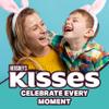 Hershys Kisses Silver Foiled Classic Milk Chocolate - 4 Pounds approx 400 pieces of Chocolate Candy Individually Wrapped - Ideal for Snacking and Sharing wit Family & Friends - Halloween Candy, Bulk Candy Individually Wrapped, Chocolate Candy Ideal f view 4