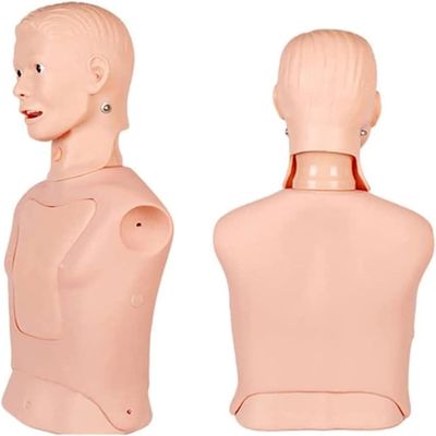 Endotracheal Intubation Gastric Tube Model,Half Body Mannequin,for Nursing Practice Simulator,Gastric Lavage Tracheostomy Model,Airway Management Trainer,for Nurse and Medical Students