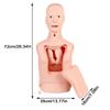 Endotracheal Intubation Gastric Tube Model,Half Body Mannequin,for Nursing Practice Simulator,Gastric Lavage Tracheostomy Model,Airway Management Trainer,for Nurse and Medical Students view 2