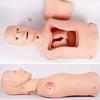 Endotracheal Intubation Gastric Tube Model,Half Body Mannequin,for Nursing Practice Simulator,Gastric Lavage Tracheostomy Model,Airway Management Trainer,for Nurse and Medical Students view 3
