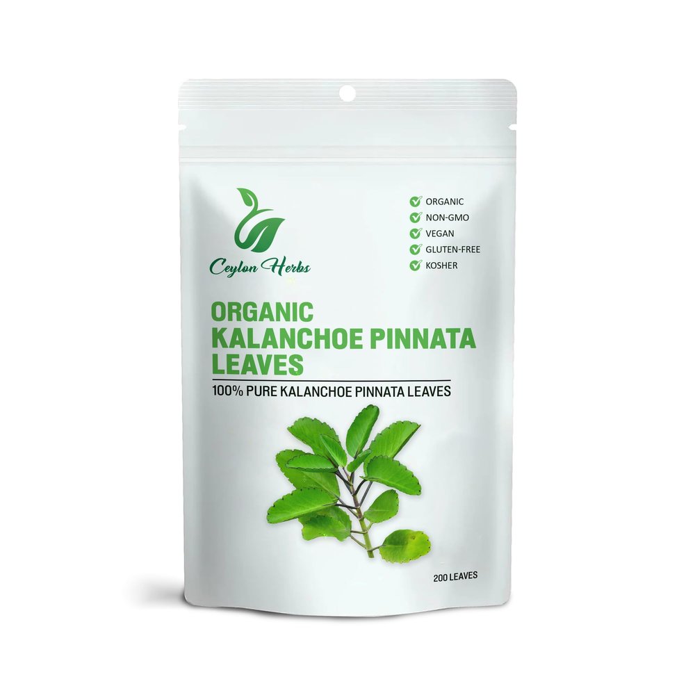 200 Kalanchoe Pinnata Leaves - Healthy, Well-Cleaned, Dried Organic Leaves, No Additives, 100% Pure & Natural