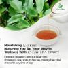 200 Kalanchoe Pinnata Leaves - Healthy, Well-Cleaned, Dried Organic Leaves, No Additives, 100% Pure & Natural view 3