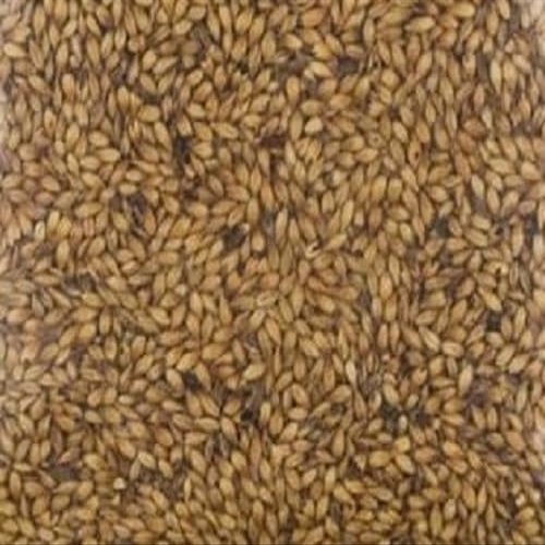 1LB Simpsons DRC Double Roasted Crystal Unique Dark Caramel Specialty Malt for English Strong Ales Browns Stouts Porters Abbeys (Uncrushed)