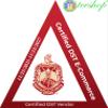 Delta Sigma/ Theta Solid Silicone Wristband [Pack of 4 - White - 8"] - ID#68209 view 2