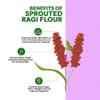 500 gm Sprouted Ragi Flour | 100% Natural | Chemical Free | Fibre, Protein and Iron Rich Healthy Meal - 500 grams view 4