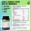 BODi Recover Post Workout Plant-Based Protein Powder-Chocolate, 20 Servings view 2
