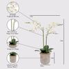 CG Hunter Faux White Orchid Plant, Premium Artificial Indoor Flower Display Stands 24, Beautiful Sculptural Blooms That Lasts Forever, Grey Planter Pot Included view 2