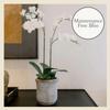 CG Hunter Faux White Orchid Plant, Premium Artificial Indoor Flower Display Stands 24, Beautiful Sculptural Blooms That Lasts Forever, Grey Planter Pot Included view 4