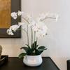 CG Hunter Faux White Orchid Plant, Premium Artificial Indoor Flower Display Stands 23, Beautiful Sculptural Blooms That Lasts Forever, White Planter Pot Included view 1
