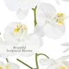 CG Hunter Faux White Orchid Plant, Premium Artificial Indoor Flower Display Stands 23, Beautiful Sculptural Blooms That Lasts Forever, White Planter Pot Included view 3